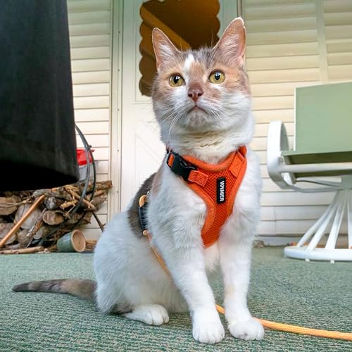 Image of Voyager Escape-Proof Step-in Lock Cat Harness & 5ft Neoprene-Handle Leash Set All-Weather Mesh with Reflective Stitching for Small to Large Cats by Best Pet Supplies, Orange, XXS