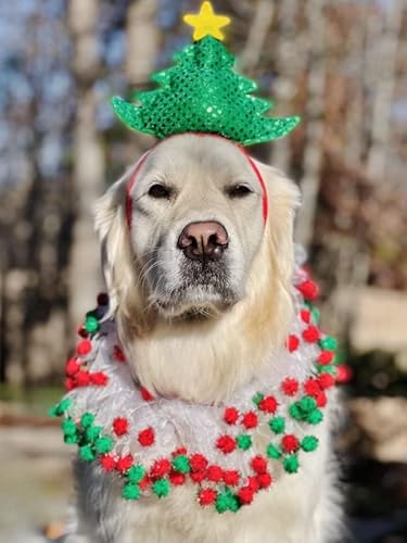 Midlee Christmas Pom Pom Decorative Dog Collar (Large) #TOP2