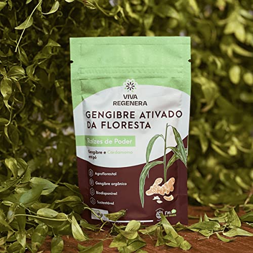 Gengibre e Cardamomo Ativado Da Floresta, Viva Regenera 60g em Pó
