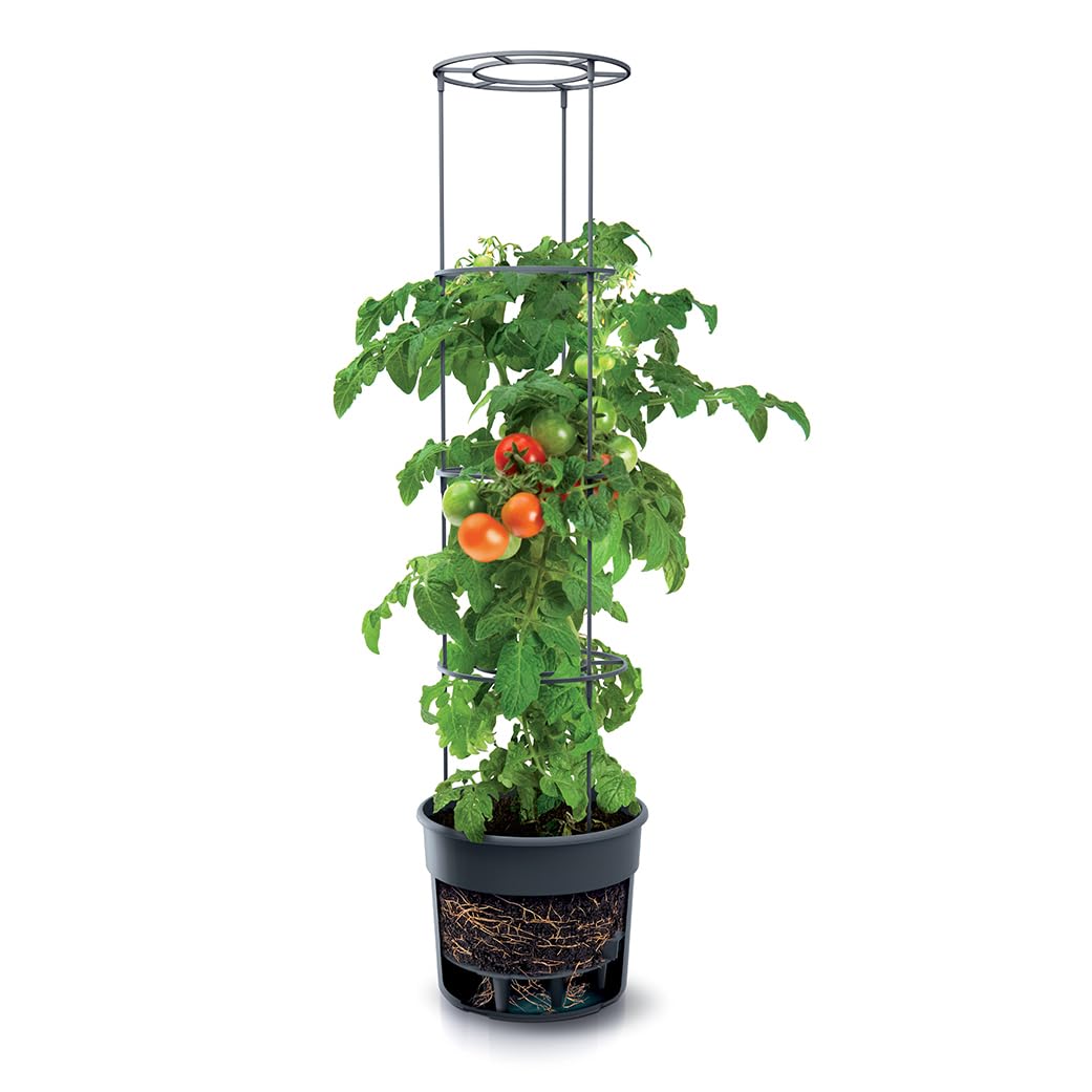 B2C Tomato Grower Pot Greenhouse Growing Support Home Garden Indoor Outdoor With Lid Cover 28L 12L Without Lid Home Grown Vegetable (12L)