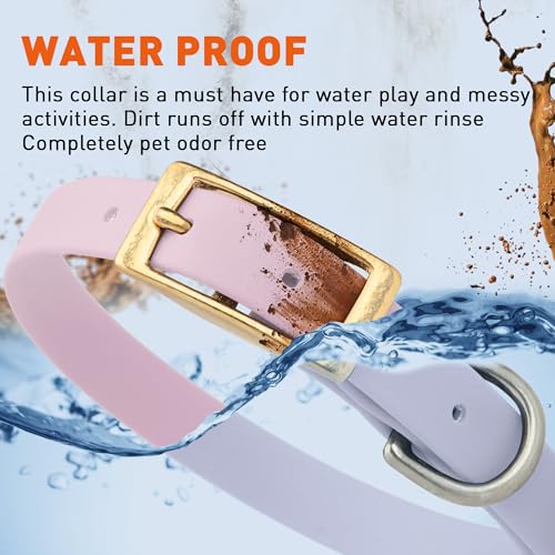 Image of Viper Biothane Heavy Duty Waterproof Dog Collar Strong Coated Nylon Webbing w /Solid Brass Hardware Odor-Proof Easy to Clean High Performance Fits Small Medium or Large Dogs, Pastel Purple