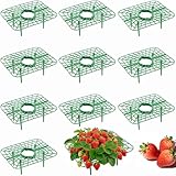 Tronisky 10 Stück Erdbeerreifer, Quadratisch Erdbeerstützen, Erdbeergitter, Abnehmbares Pflanzenregal für Balkon, Garten, Hochbeet, Erdbeerpflanzen schützen vor Schnecken, Fäulnis und Schimmel