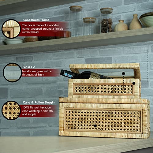 Lusydeco Set Of 2 Large Rectangular Rattan Decorative Boxes With Glass Lids Medium Cane And Rattan Display Boxes For Home Decor #TOP4