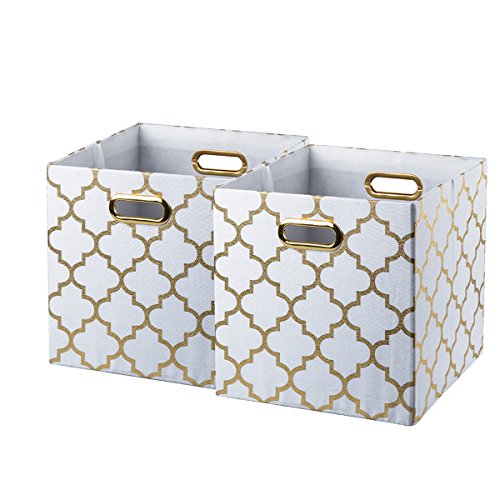 BAIST Storage Bins for Cube Organizer 11 x 11'' Large Cubby Storage Bins Decorative Fabric Storage Cubes Basket Binsfor Closet, Cloth, Dog Food, Kids, Toy, Office, Shelf (2-Pack, Gold Lattice)