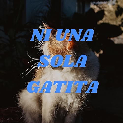 NI UNA SOLA GATITA - JOSE NOGALES copertina