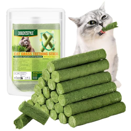 DOGGYZSTYLE 120 g de Hierba para Gatos Palo de dentición Bolas de Pelo,palitos de Masticar para Gatos,palitos de Juguetes de Hierba gatera Palo de Masticar de Interior