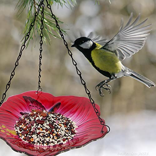 Wufeily Hanging Bird Bath Glass Bird Bath Hummingbird Outdoor Bird Feeder Garden Yard Decorations #TOP4