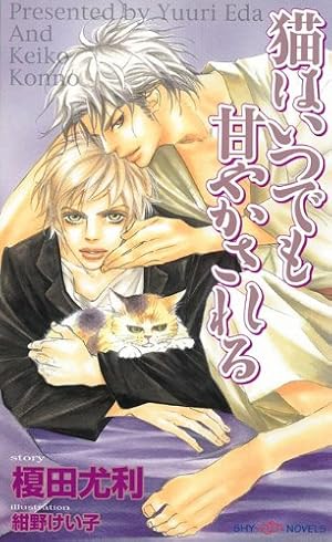 Amazon.co.jp: 美しいこと(上) (Holly NOVELS) : 木原 音瀬, 日高