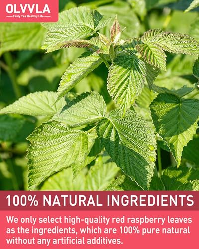 Image of Olvvla - Raspberry Leaf Tea Bags - 1.5g X 50 Count - 100% Pure Red Raspberry Leaf Herbal Tea - Natural Pregnancy Tea - Non-GMO - Caffeine-free - Ease Menstrual Cramp & Support Healthy Pregnancy