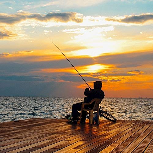 Canne da Pesca Telescopiche Canna da Pesca