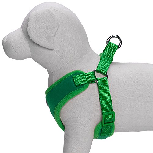 Blueberry Pet Better Basic No Pull Dog Harness