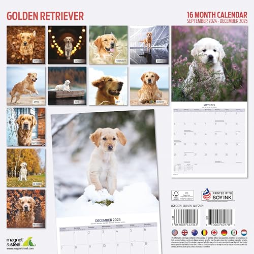 Golden Retriever 2025 Traditional Calendar, Various - Image 2