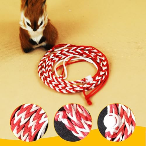 GXGM 4 Stück Hamster Geschirr und Leine Einstellbar Nylon Laufleine für Haustiere Geeignet für Meerschweinchen Chinchillas Frettchen Ratten Mäuse Eichhörnchen Rennmäuse