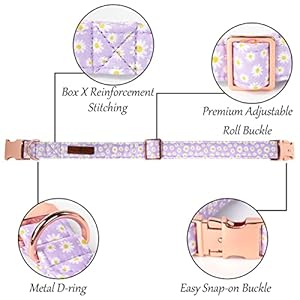 Lionet Paws Dog Collar, Comfortable Adjustable Cute Collar with Metal Buckle for Male Female Dogs, Purple Daisy, Small, Neck 10-16 inches Lionet Paws Dog Collar Comfortable Adjustable Cute Collar with Metal Buckle for Male Female Dogs Purple Daisy Small Neck 10 16 inches