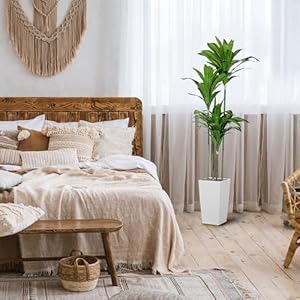 Artificial Dracaena Tree, 5FT Faux Tree with White Tall Planter, Fake Dracaena Plants Tropical Yucca Floor Plant in Pot, Artificial Silk Tree for Home Decor Office Living Room Indoor Housewarming Gift Artificial Dracaena Tree 5FT Faux Tree with White Tall Planter Fake Dracaena Plants Tropical Yucca Floor Plant in Pot Artificial Silk Tree for Home Decor Office Living Room Indoor Housewarming Gift