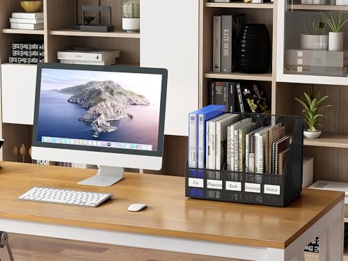 EasyPAG 5 Fächer A4 Metall Büro Schreibtisch Organizer Dokumentenhalter Aktenablage Zeitschriftenhalter Briefablage Papier Magazin Organisator,Schwarz
