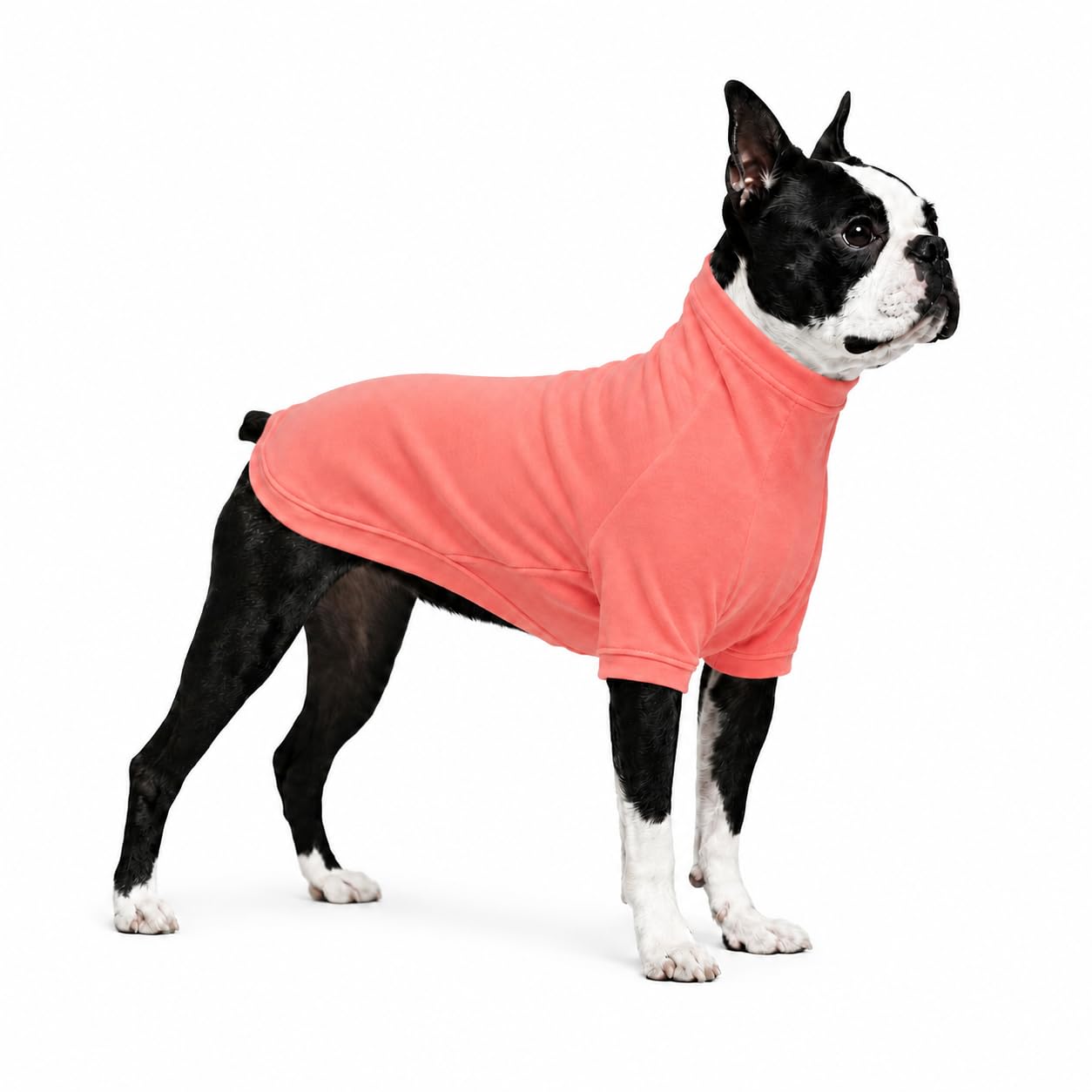 Pull pour chien 100% coton Lovelonglong pour automne et hiver