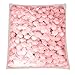 Testa di Rosa Fai-da-Te, 500 Pezzi di Fiori Artificiali con Testa di Rosa in Schiuma di PE per Decorazioni per La Casa delle Bambole Fai-da-Te Rosa Champagne 500 Pz