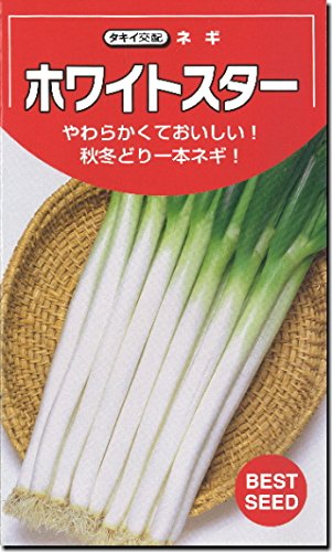 lM q zCgX^[ {K ˂ (20ml)