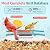 birdsnap® TUC Bird Feeder with Camera 2K HD, Solar Panel 32GB Card 4-in-1 Perch, 160°View Auto Detect & Notify AI Identify Video Bird Camera Wireless Outdoors Ideal Gift for Birds Lover