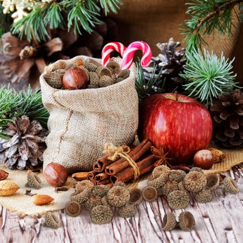 100 piezas de cáscaras de bellota naturales para manualidades miniatura 2