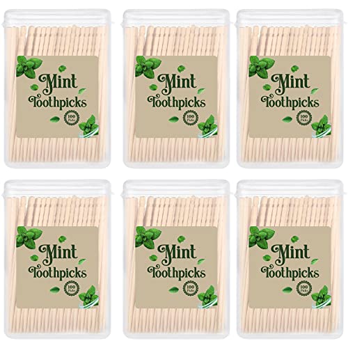 600 Pcs Bulk Mint Toothpicks Wood Toothpicks Mint Flavored Toothpicks with 6 Clear Plastic Boxes for Kitchen Appetizers Fruit Tray Essential Teeth Dental Care