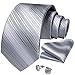 DiBanGu Mens Tie Set Silk Solid Paisley Necktie and Pocket Square Cufflinks Classic Formal Ties for Men Wedding Party, Silver