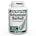 Produktbild The Nutri Store Artemisia Beifuß 400 mg Extrakt vegane Kapseln 120 Stk. Nahrungsergänzungsmittel