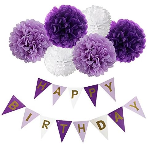 Happy Birthday Banner Bunting Kit, Wartoon Paper Pom Poms flowers Ball with Hanging Party Decorations Banner flags for Birthday Party Decorations (purple1) Cover