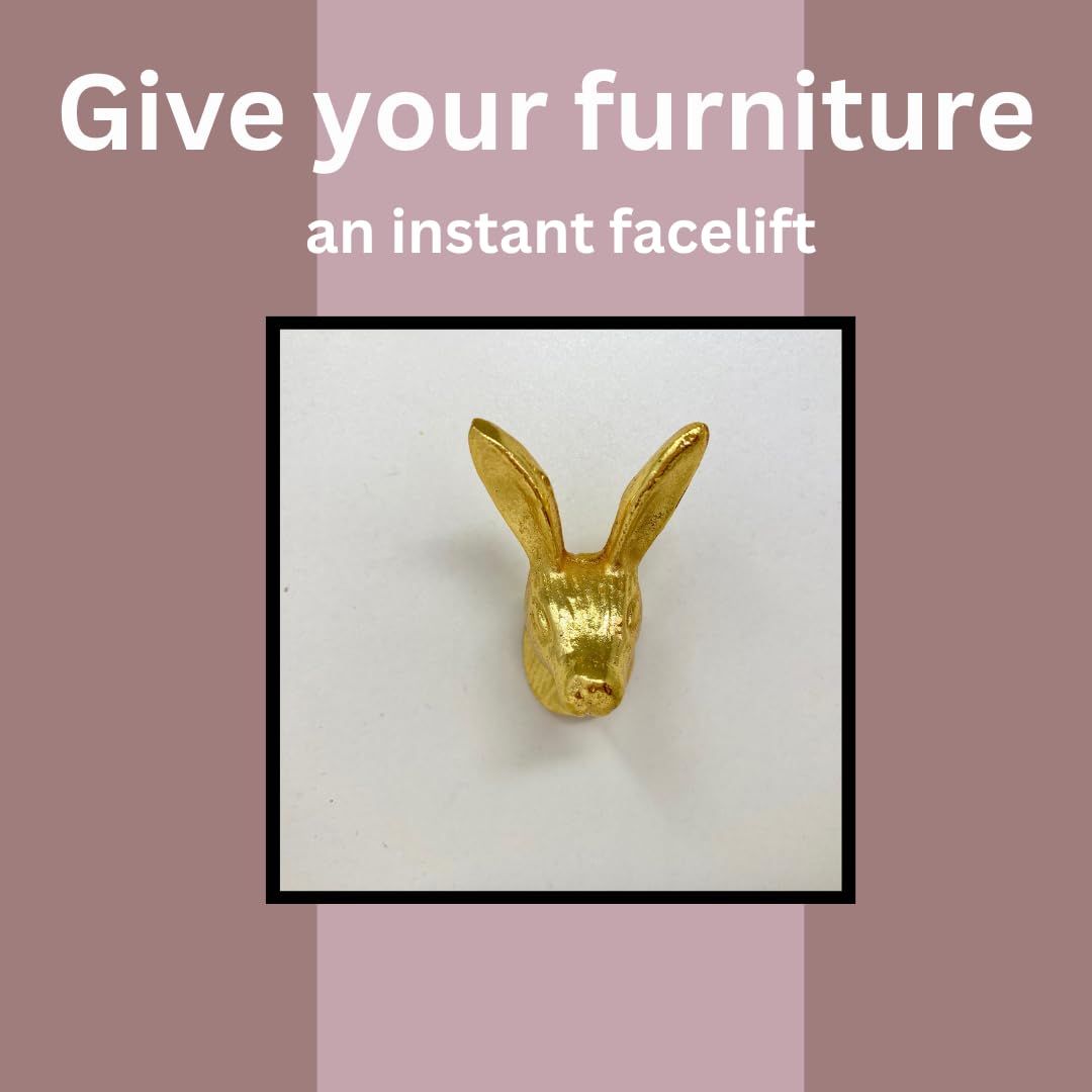 Pomelli Per Cassetti A Forma Di Animale - Oro Brillante, 16 Modelli, Con Viti - Foto 3