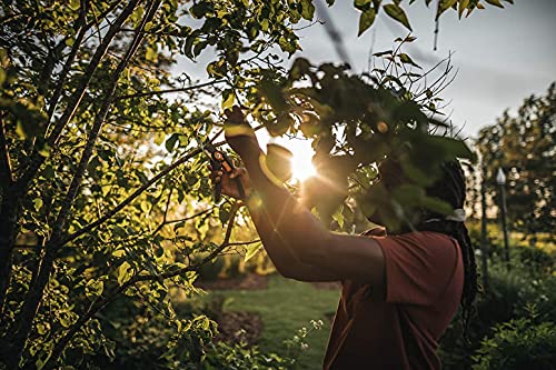 Fiskars Bypass-snoeischaar Plus SmartFit, P541, voor jonge takken en twijgen, antikleeflaag, roestvrijstalen messen… - Afbeelding 7