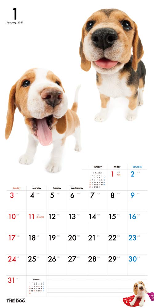 Amazon | THE DOG 2021年 ミニカレンダー (ビーグル) (2021, 大判