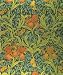 Designs of William Morris (Phaidon Miniature Editions)