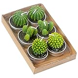 vela cactus natura Bonito diseño: tres formas diferentes de velas de cactus, dos de cada diseño, bonito y refrescante diseño suculento, adorno de decoración ideal, ambiente romántico que traerá más vigor y vitalidad a tu vida.