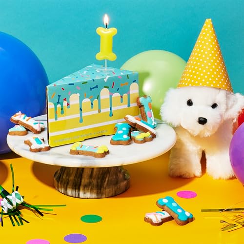Image of Thoughtfully Pets, Dog Birthday Cake Mini Treats Gift Set, Includes 10 Ginger Flavored Mini Cookie Bones & Candle, Pet Celebration Treats for Puppy Parties or Gotcha Day