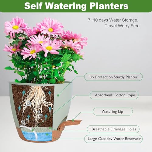 Image of INKULTURE Flower Pot for Indoor Plants - Self Watering Plant Pot Set of 5, Multi Size Plastic Planter with Drainage Hole & Watering Lip (7 /6.5 /6 /5.5 /5 Inch) Green | Pots for Home, Office & Succulents