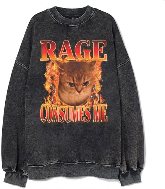 Bellelement Vintage Rage Consumes Me Cat Meme Shirt Funny Cat Sweatshirt