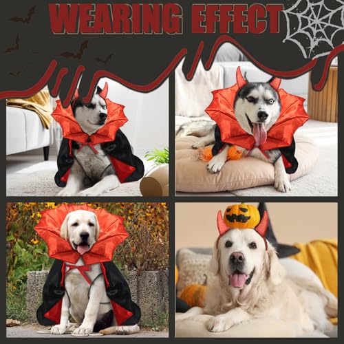 Disfraz Vampiro para Perros y Gatos Rojo y Negro miniatura 6