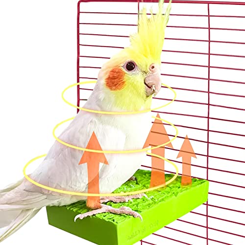 WEITING Perchoirs Chauffants pour Oiseaux | Perchoirs Chauffants 5W pour Cages à Oiseaux - Support Chaud Durable pour Animaux de Compagnie à température constante pour Hamster, Chinchilla, perroquets Cover