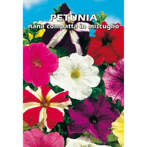 PETUNIA nana compatta in miscuglio - SEMI