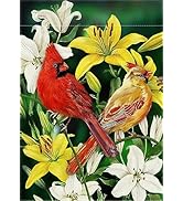 Decorative Cardinal Flower Spring Small Garden Flag Double Sided, Red Yellow Birds Home Fl...