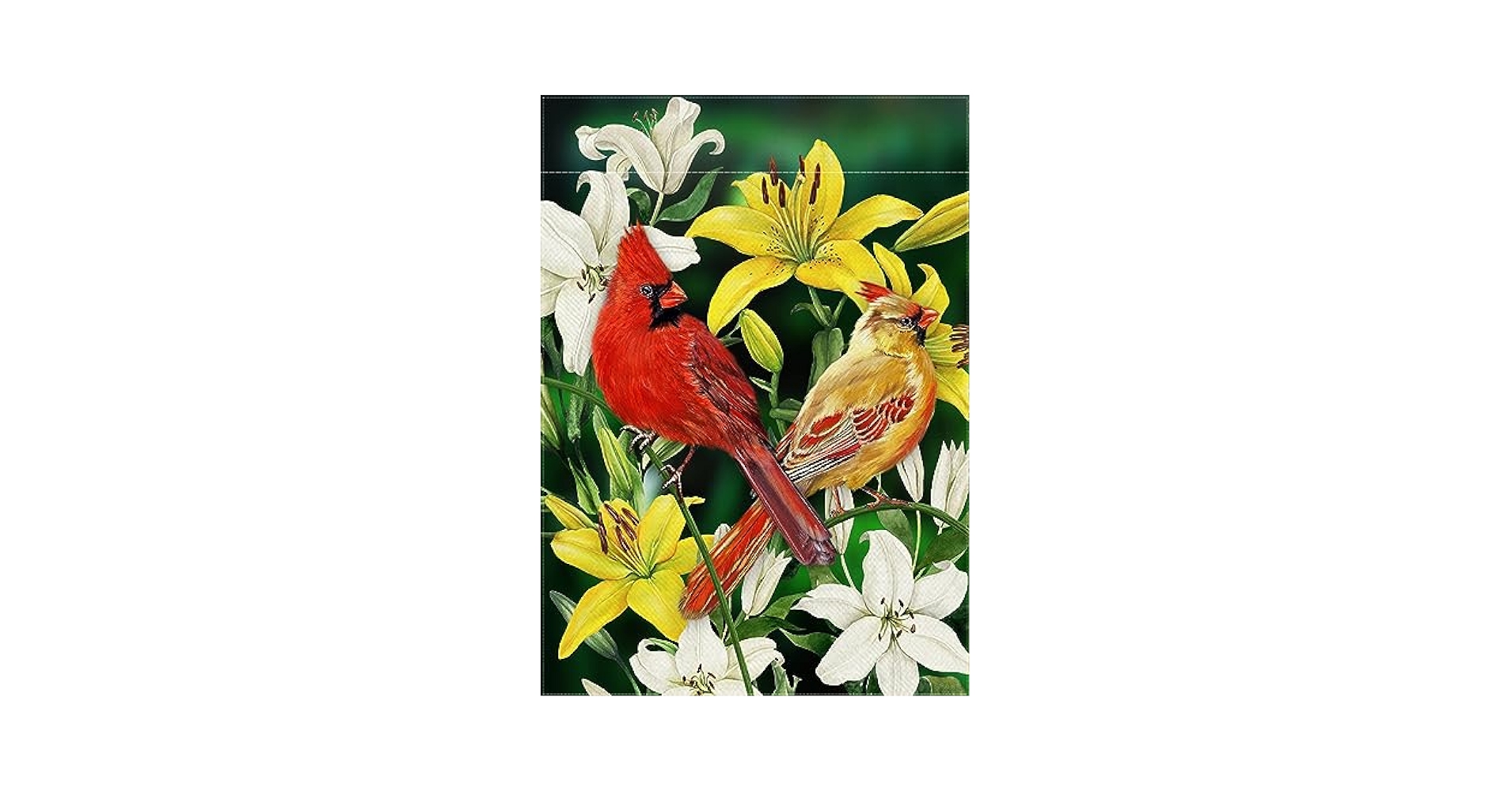 秋山花　「THE 3 BIRDS AND A FLAG」 秋山花 「THE 3 BIRDS AND A FLAG」 Amazon.com : Pickako Three