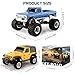 ARRIS 1:36 Mini RC Crawler, 4WD Off-Road RC Car with 2.4G Remote, Battery & Lights RTR for Adults Hobby Gifts (Yellow)