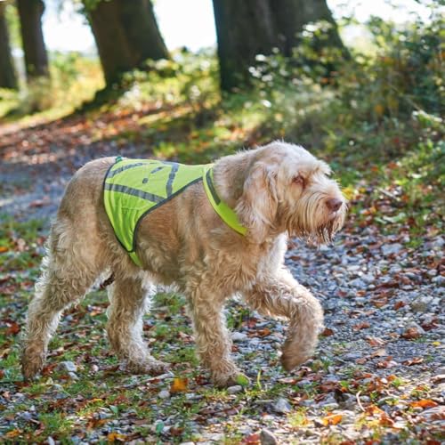 HUNTER Warnweste für Hunde, vielseitig einstzbar, höhere Sichtbarkeit, stufenlos verstellbar, wasser- und schmutzabweisend, waschbar, Größe: L