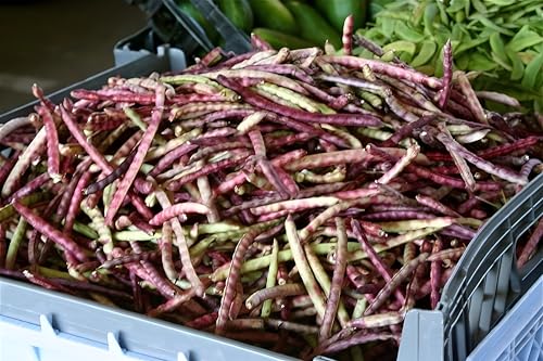 Pinkeye Purple Hull Cowpea Seeds - Heirloom Southern Pea Variety