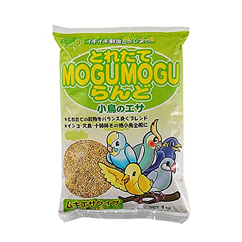 ybgt[h ƂꂽĂlnftlnft ̃GT LGT a P   t[h GT a ނ