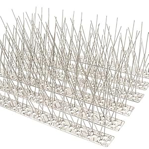 QIEGL Bird Spikes Stainless Steel for Pigeons Small Birds Anti Bird Spikes Bird Deterrent Spikes Sparrow Fence Spikes Cover 10 Feet (10 Pack Uninstalled)