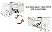 xixiworkshop Hochbett 90x200cm, Multifunktionales Jugendbett mit austauschbar Tisch/Schrank/Treppen/Leiter Bett mit Stauraum, Einzelbett Rausfallschutz ohne Matratze