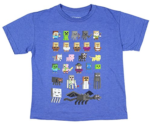 JINX Minecraft Big Boys' Sprites Premium Cotton T-Shirt (Royal Heather, X-Small)