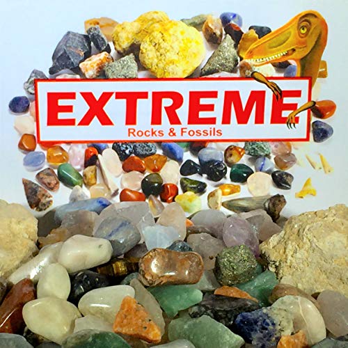 Extreme Rock & Fossil kit Including Huge Megalodon Shark Tooth shard, Meteorite Fragment, Herkimer Diamond and 3 lbs Total Rocks and Fossils.